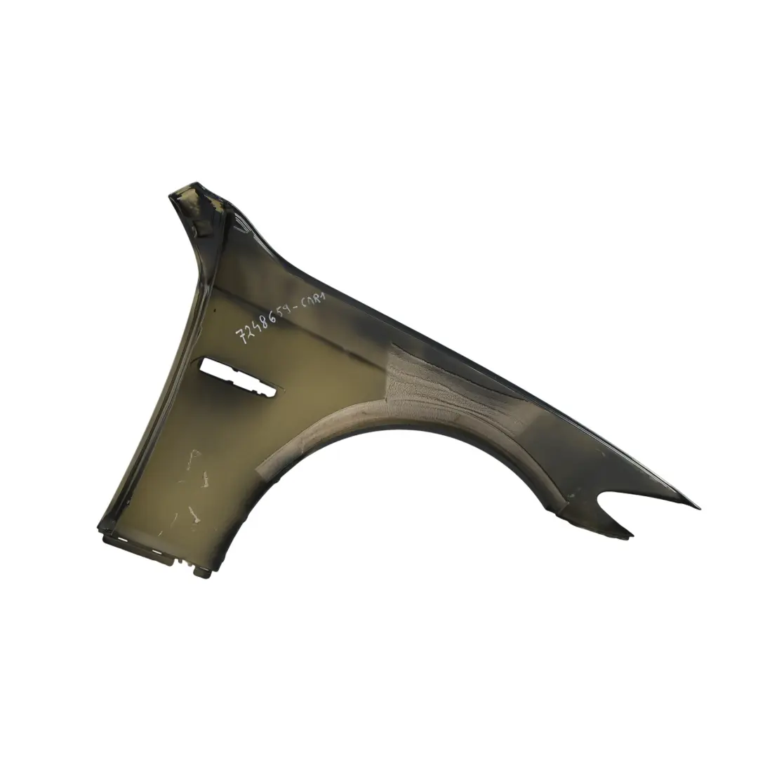 Błotnik Lewy Przedni Carbonschwarz Czarny Metalik - 416 do BMW F10 F11 o numerze 7248659 BMW F10 F11 Błotnik Lewy Przedni Carbonschwarz Czarny Metalik - 416 - SKU 7248659-CAR1 - Numer Części 7248659