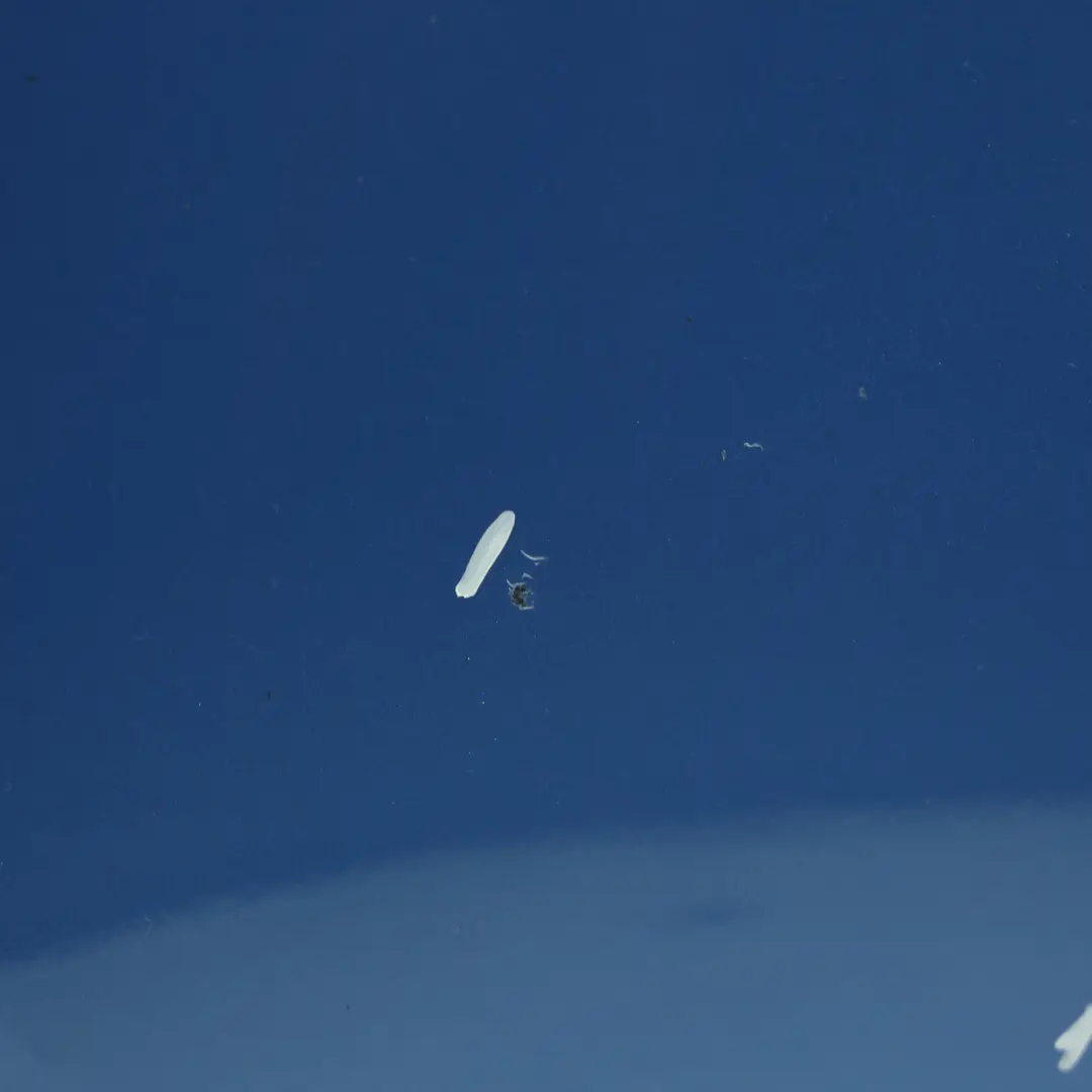 Aile Latérale Avant Gauche Estoril Blau Metallic - B45 pour BMW F30 F31 à propos du numéro de pièce 7438439 BMW F30 F31 Aile Latérale Avant Gauche Estoril Blau Metallic - B45 - SKU 7438439-EB1 - Numéro de pièce 7438439