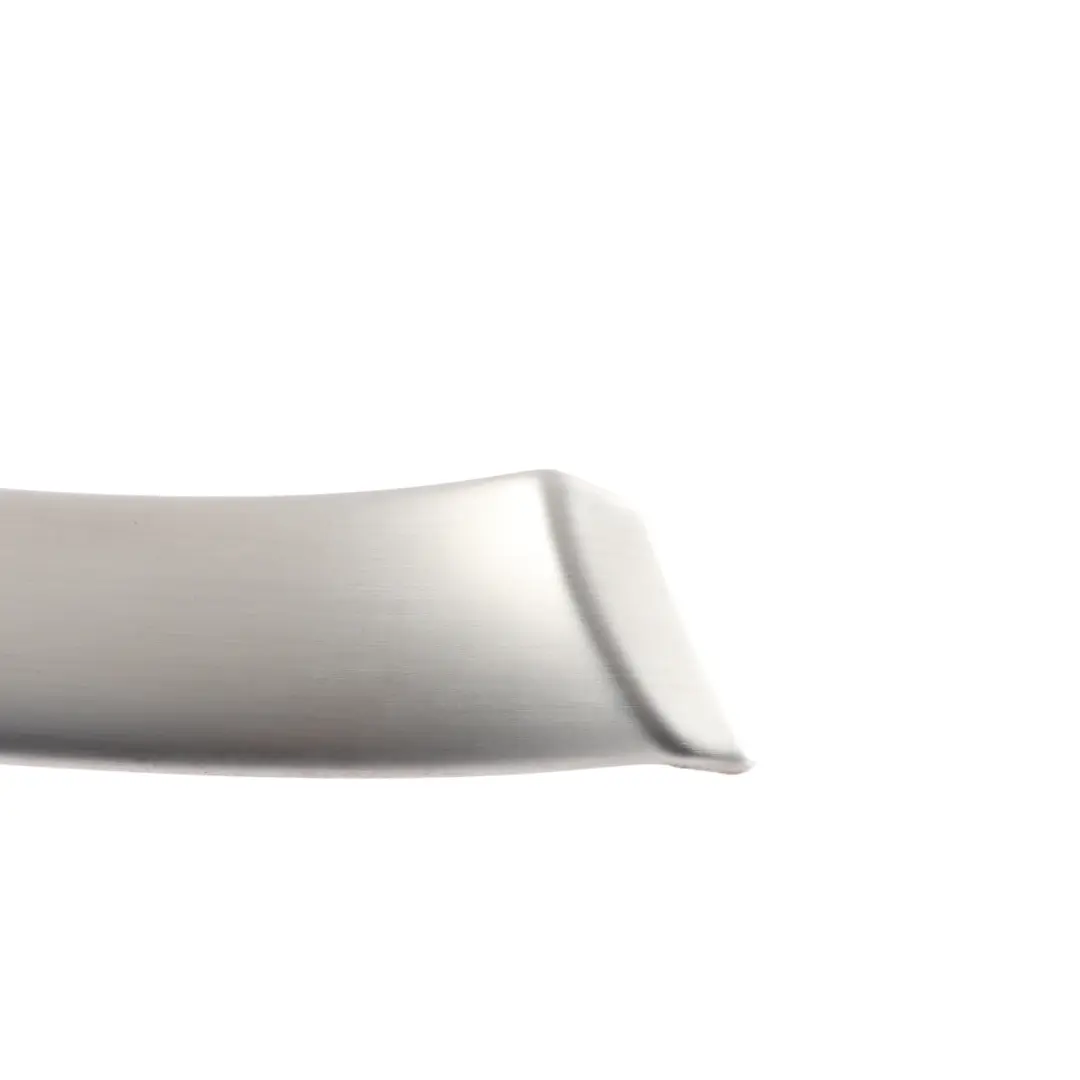 Moldura Puerta Delantera Aluminio Cepillado Derecho para Audi A4 B7 con número de pieza 8E0867410 Audi A4 B7 Moldura Puerta Delantera Aluminio Cepillado Derecho - SKU 8E0867410 - Número de pieza 8E0867410