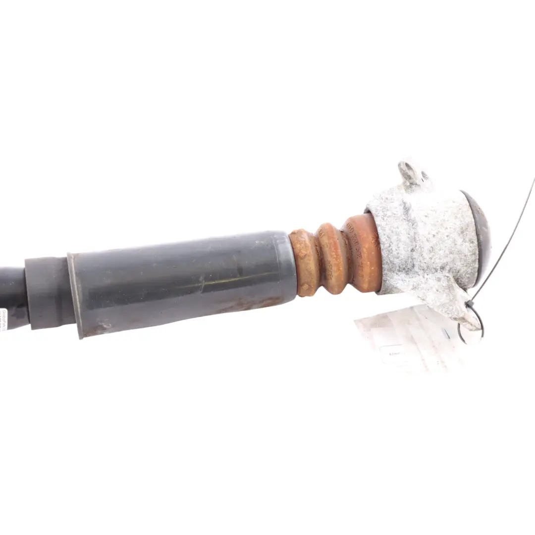Amortiguador Gas Strut Trasero Izquierdo Derecho para Audi A5 S5 8T con número de pieza 8F0513035L Audi A5 S5 8T Amortiguador Gas Strut Trasero Izquierdo Derecho - SKU 8F0513035L - Número de pieza 8F0513035L