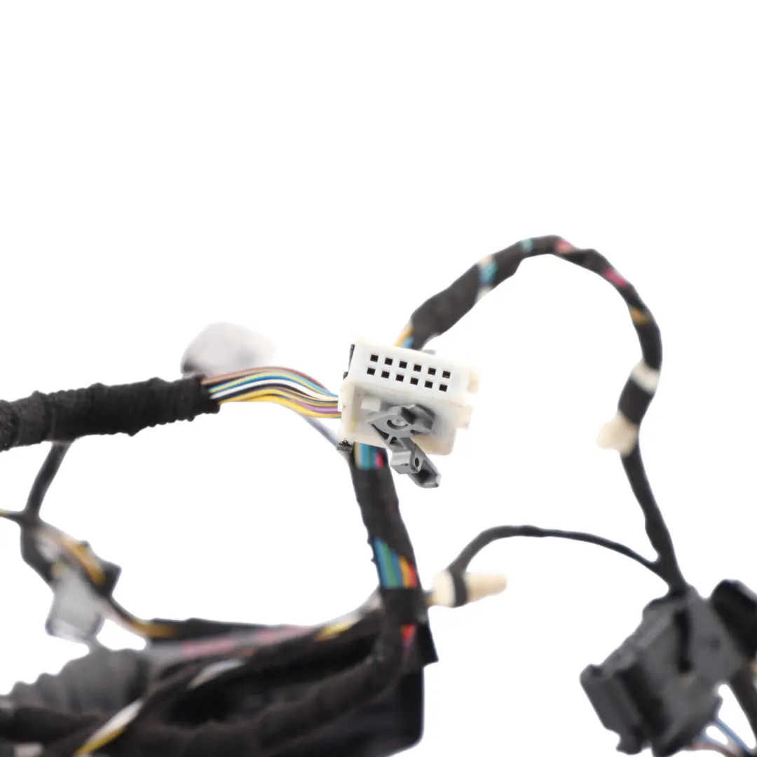 BMW F30 F31 Driver's Side Door Wiring Electrical Loom Harness Cable - SKU 9313616 - Part number 9313616