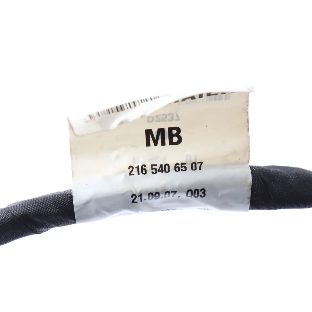 Mercedes CL C216 Door Electrical Wiring Harness Left Right N/O/S - SKU A2165406507 - Part number A2165406507