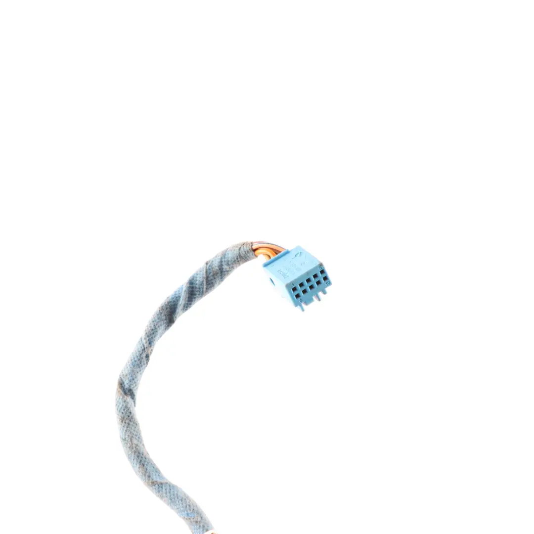 Mercedes CL C216 Door Electrical Wiring Harness Left Right N/O/S - SKU A2165406507 - Part number A2165406507