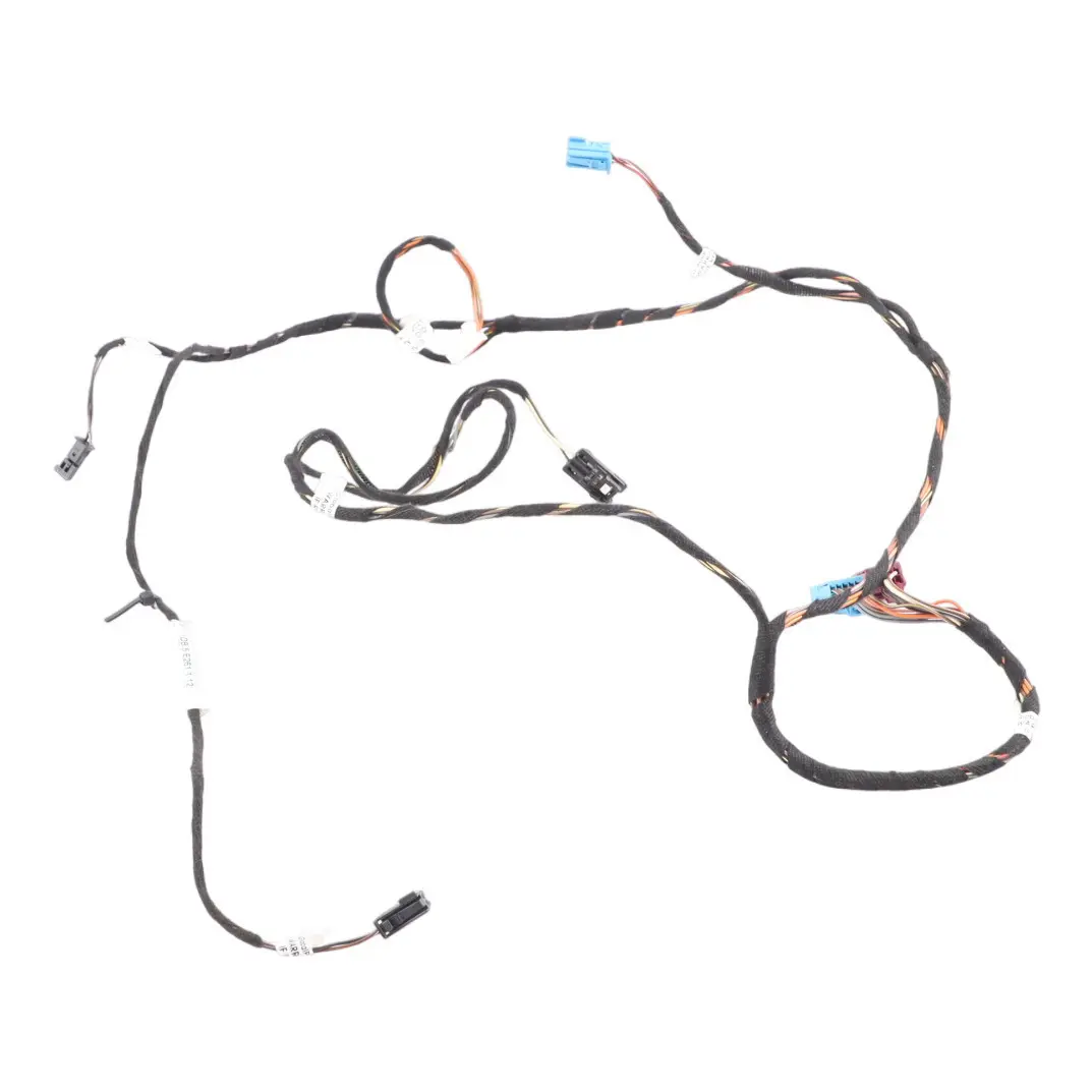 Mercedes CLS C218 Cablaggio Porta Anteriore Lato Guida A2185402605