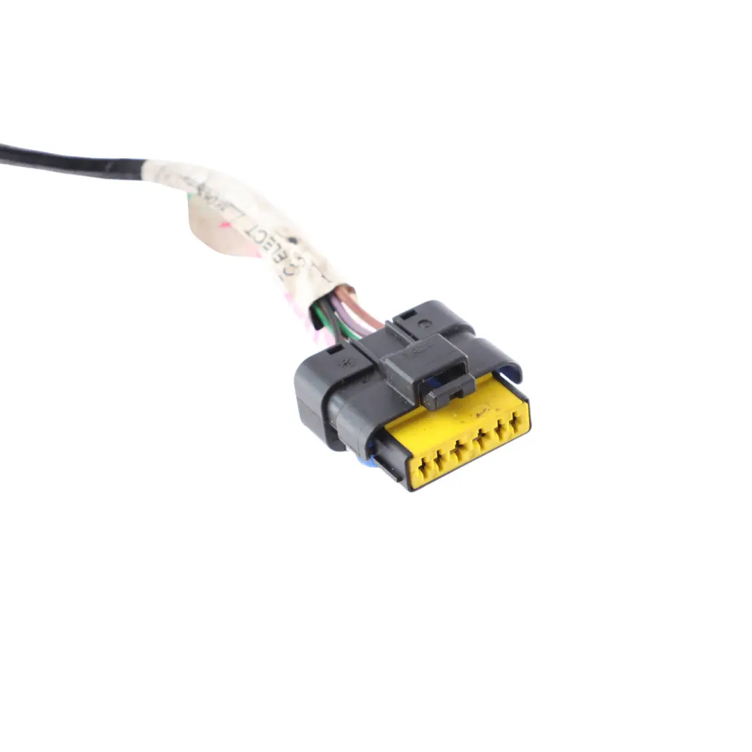 Cableado Puerta Delantera Izquierda 8200809160 para Mercedes W415 Renault Kangoo con número de pieza A4155401005 Mercedes W415 Renault Kangoo Cableado Puerta Delantera Izquierda 8200809160 - SKU A4155401005 - Número de pieza A4155401005