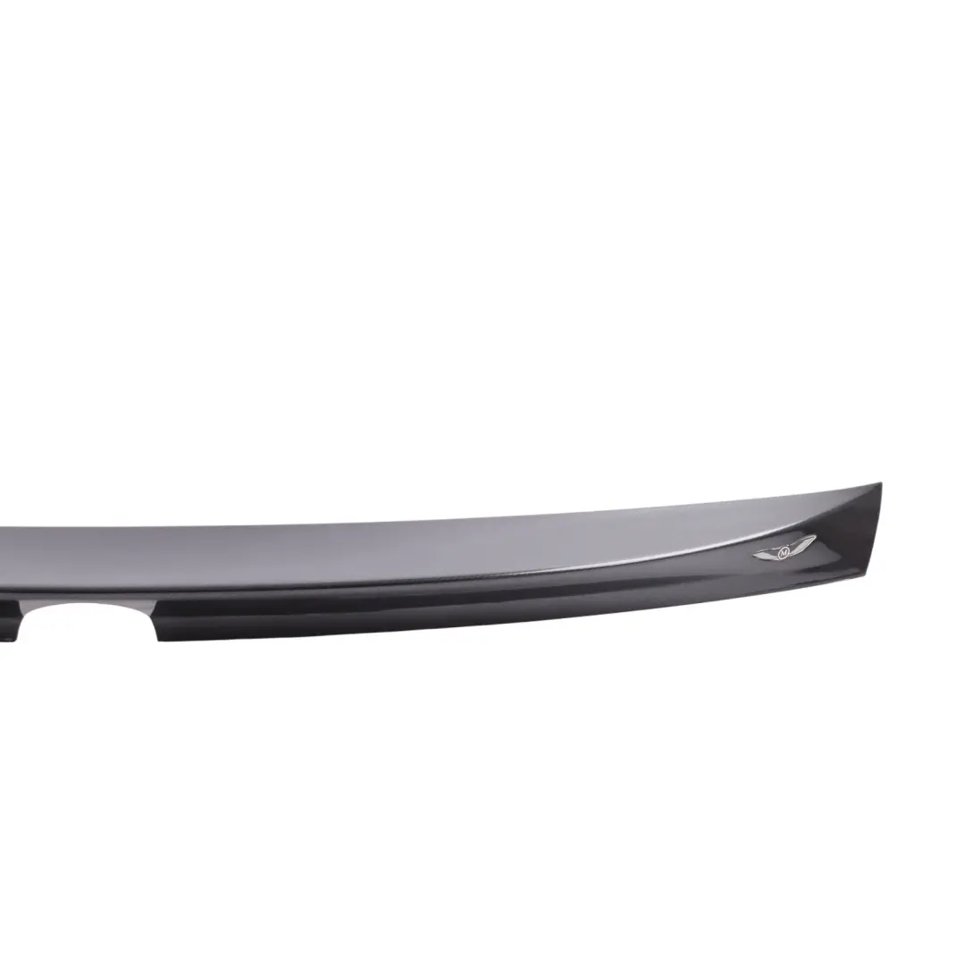 Mercedes CL C216 Rear Trunk Lid Tailgate Spoiler Moulding Mansory - SKU DP216TS000 - Part number DP216TS000