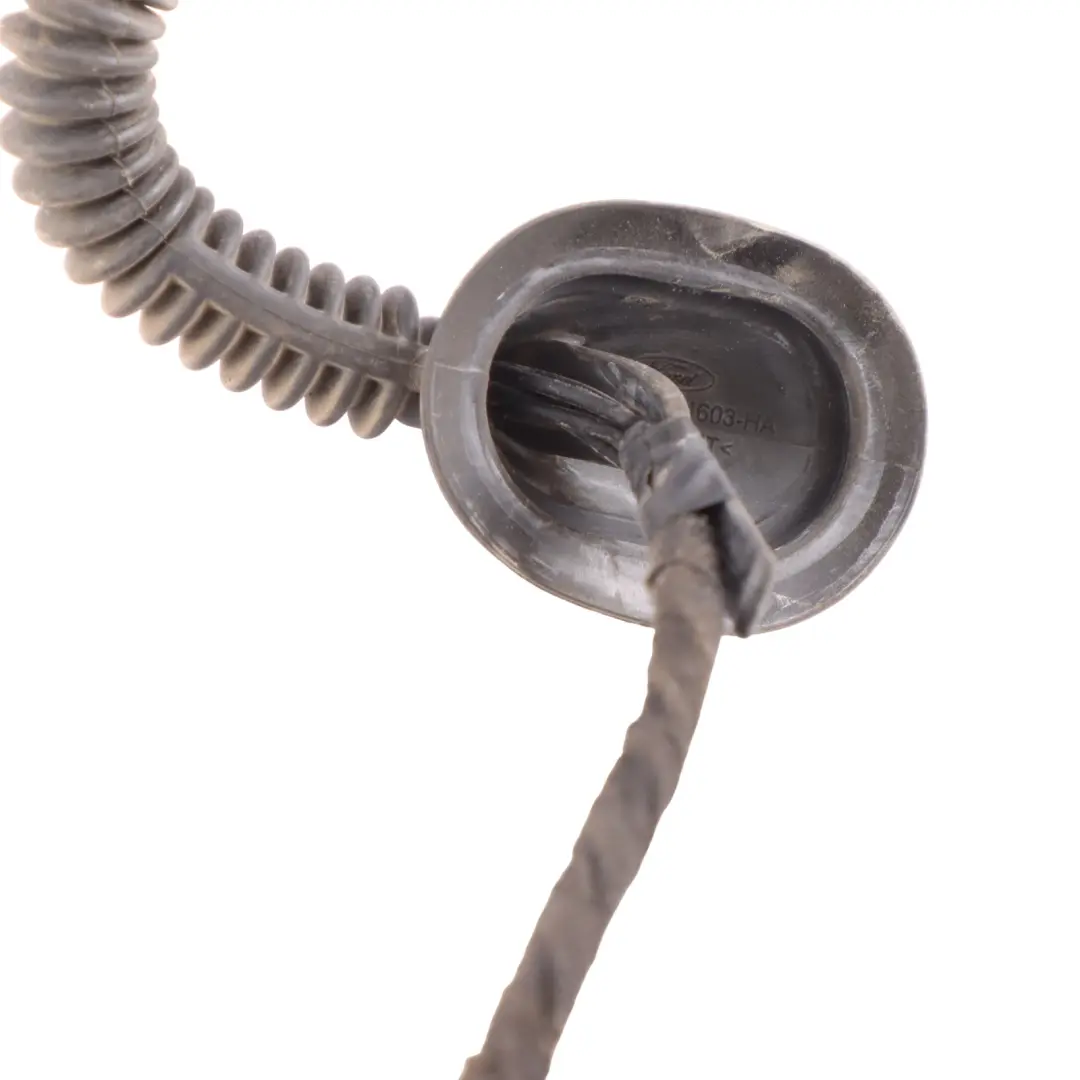 Mk8 Cabin Door Wiring Rear Left N/S Cable Harness GK3T-14A631-CBC to Ford Transit with Part number 2161057 Ford Transit Mk8 Cabin Door Wiring Rear Left N/S Cable Harness GK3T-14A631-CBC - SKU 2161057 - Part number 2161057