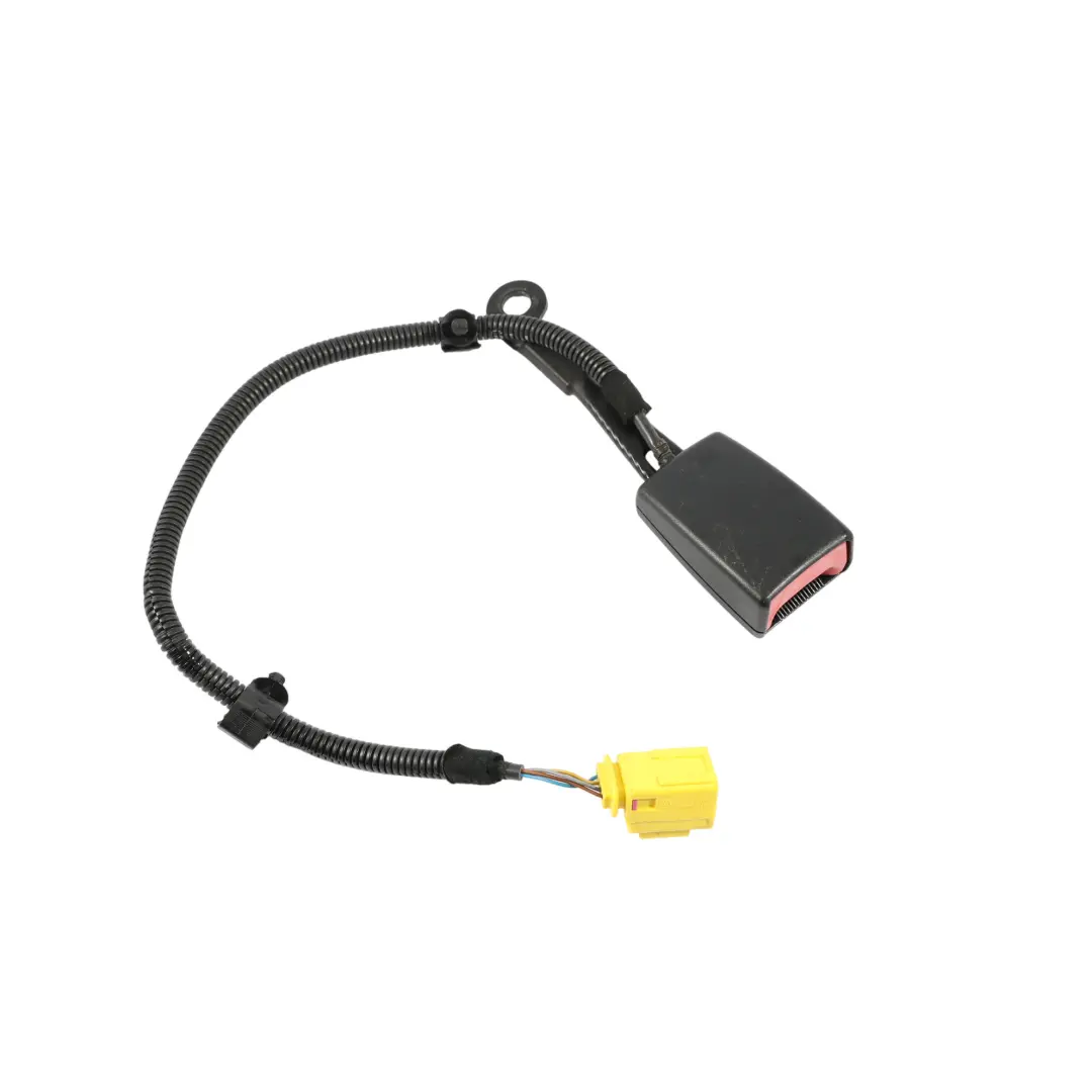 Cinturón Seguridad Pestillo Delantero Izquierdo Negro para VW Phaeton 3D con número de pieza 3D0857755E VW Phaeton 3D Cinturón Seguridad Pestillo Delantero Izquierdo Negro - SKU 3D0857755E - Número de pieza 3D0857755E