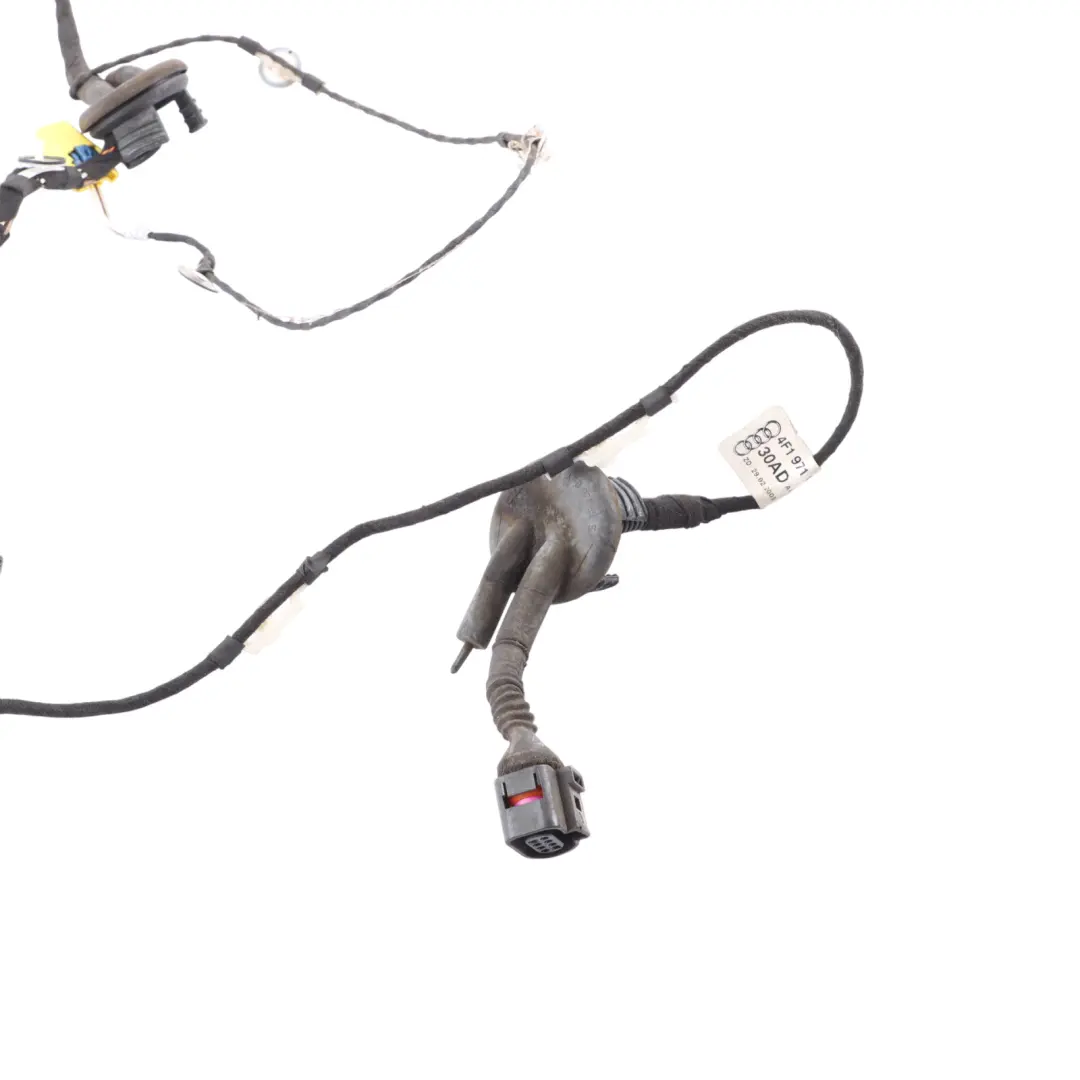 Audi A6 S6 C6 Front Passenger Door Wiring Harness Loom Left N/S - SKU 4F1971030AD - Part number 4F1971030AD