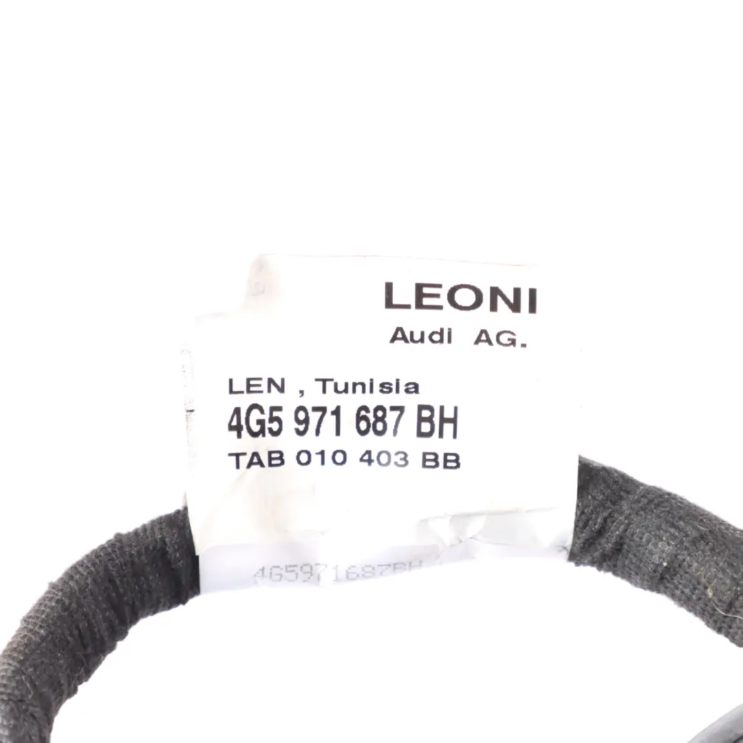 Audi A6 C7 4G Tür Kabelbaum Verkabelung Hinten Links Rechts - SKU 4G5971687BH - Teilenummer 4G5971687BH