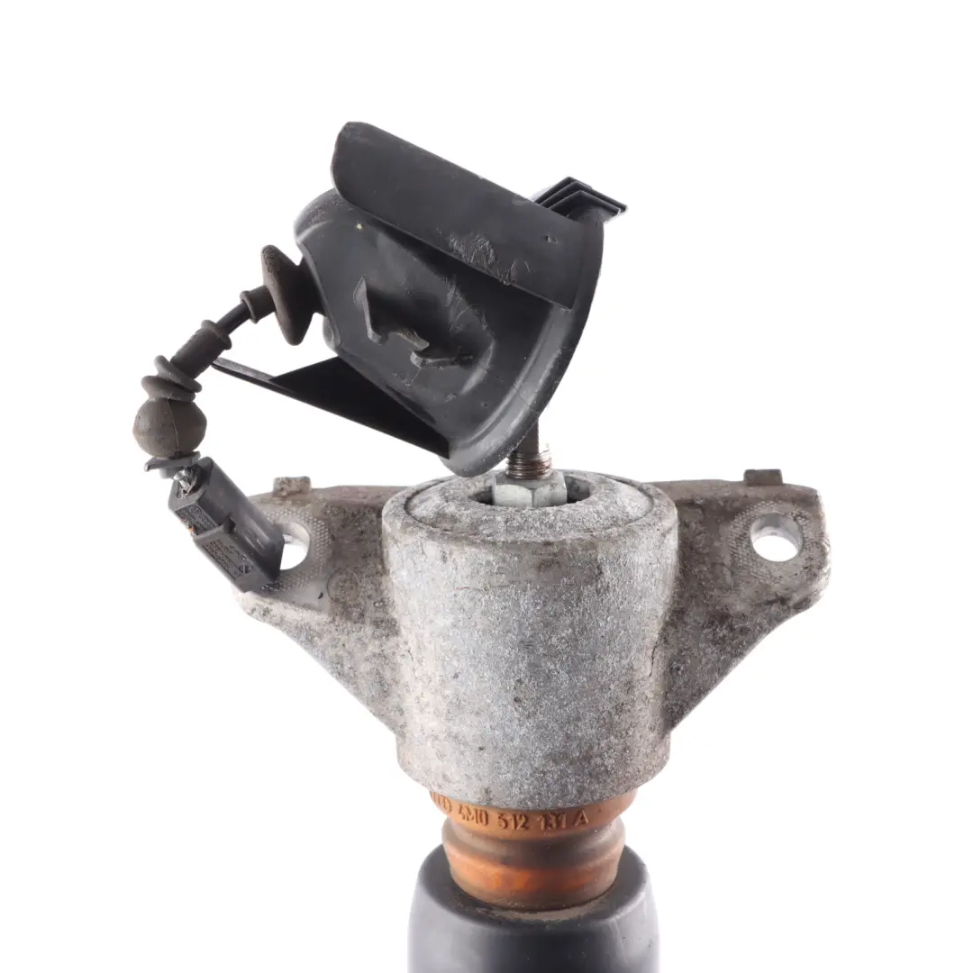 Audi Q7 4M Amortisseur Gaz Suspension Pneumatique Arrière Droit - SKU 4M0616031BA - Numéro de pièce 4M0616031BA