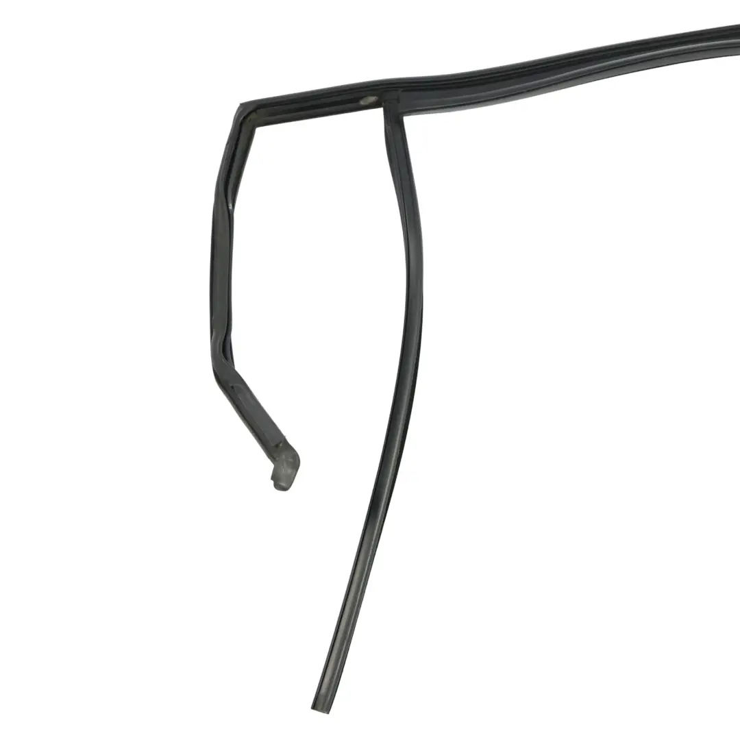 Door Window Aperture Seal Rear Left N/S to VW Volkswagen Tiguan AX1 with Part number 5NA839431F VW Volkswagen Tiguan AX1 Door Window Aperture Seal Rear Left N/S - SKU 5NA839431F - Part number 5NA839431F