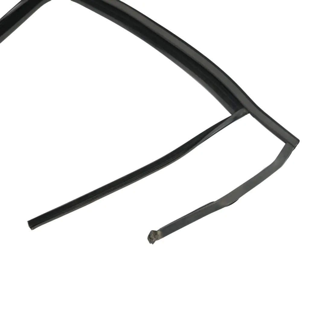 Door Window Aperture Seal Rear Left N/S to VW Volkswagen Tiguan AX1 with Part number 5NA839431F VW Volkswagen Tiguan AX1 Door Window Aperture Seal Rear Left N/S - SKU 5NA839431F - Part number 5NA839431F