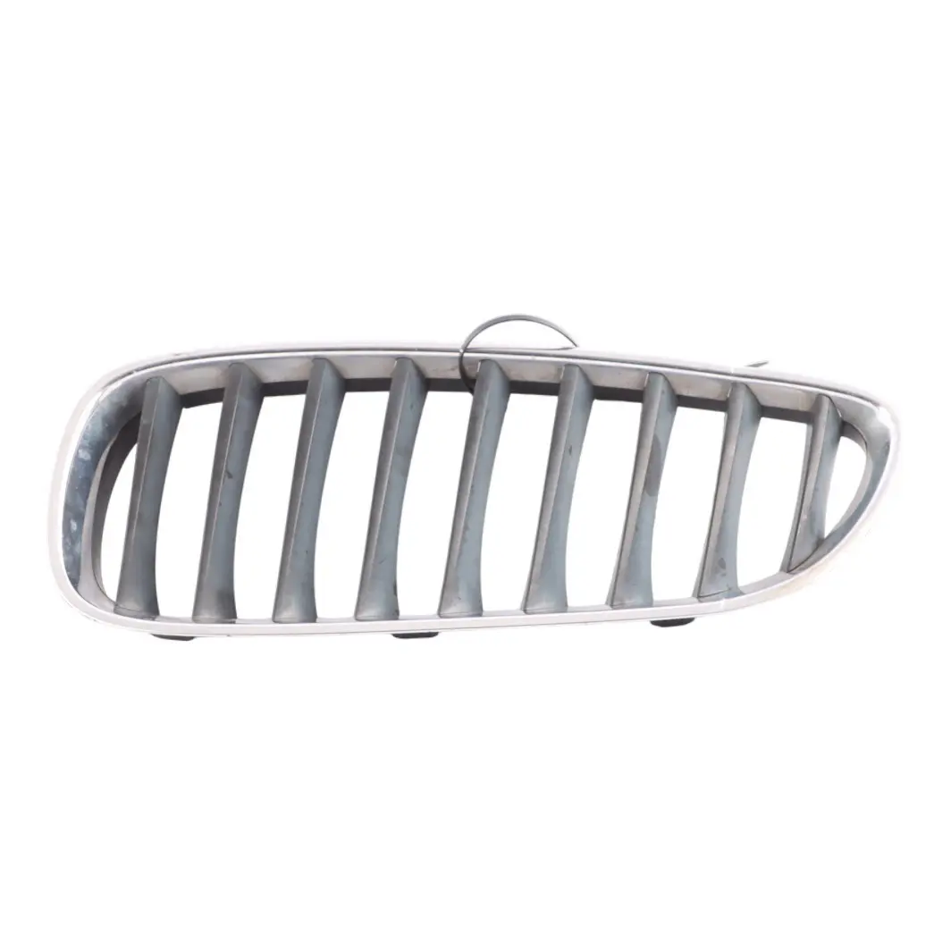 BMW E89 Front Bumper Radiator Cover Grille Kidney Chrome Left N/S - SKU 7191509 - Part number 7191509