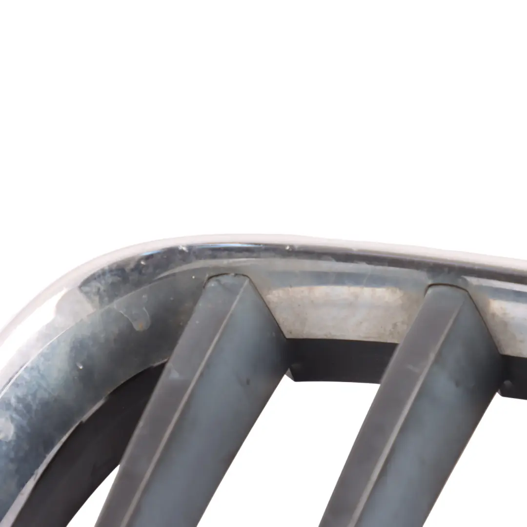 Front Bumper Radiator Cover Grille Kidney Chrome Left N/S to BMW E89 with Part number 7191509 BMW E89 Front Bumper Radiator Cover Grille Kidney Chrome Left N/S - SKU 7191509 - Part number 7191509