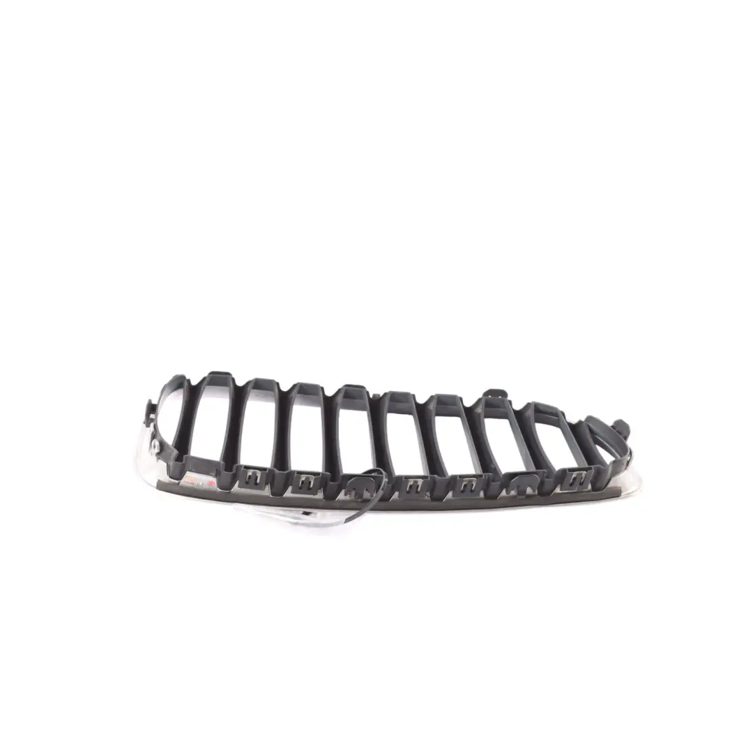 Front Bumper Radiator Cover Grille Kidney Chrome Left N/S to BMW E89 with Part number 7191509 BMW E89 Front Bumper Radiator Cover Grille Kidney Chrome Left N/S - SKU 7191509 - Part number 7191509