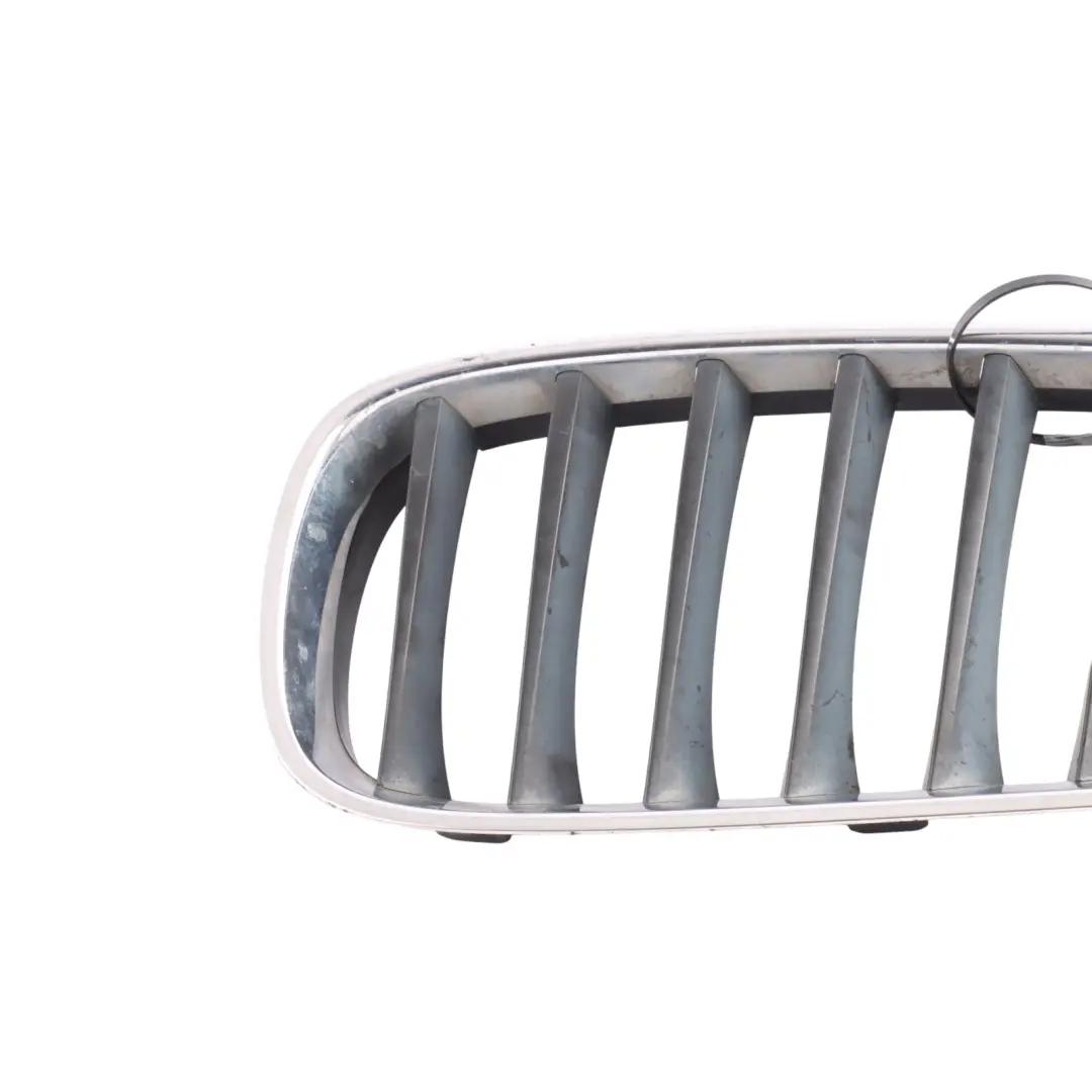 BMW E89 Front Bumper Radiator Cover Grille Kidney Chrome Left N/S - SKU 7191509 - Part number 7191509