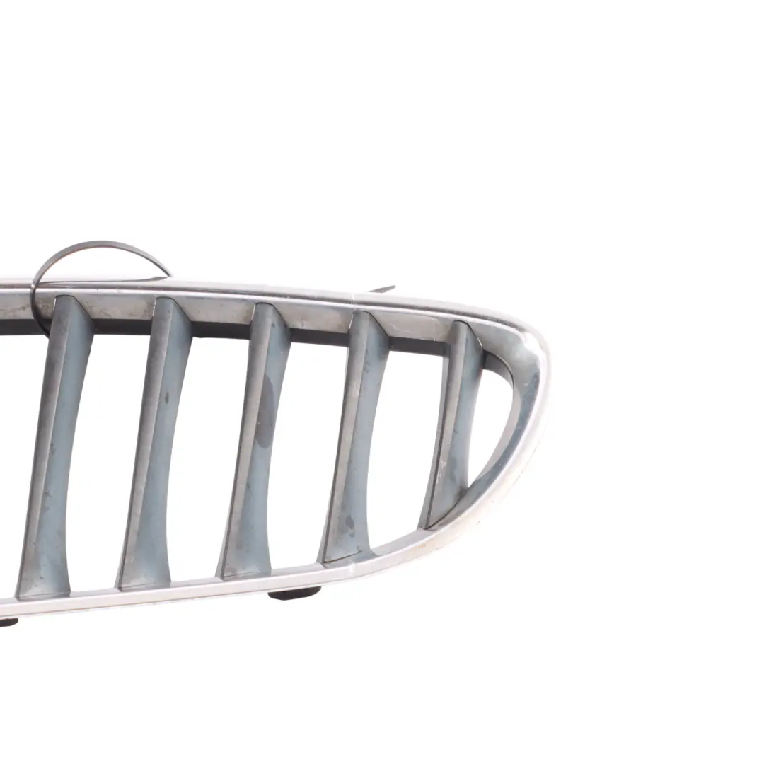 Front Bumper Radiator Cover Grille Kidney Chrome Left N/S to BMW E89 with Part number 7191509 BMW E89 Front Bumper Radiator Cover Grille Kidney Chrome Left N/S - SKU 7191509 - Part number 7191509