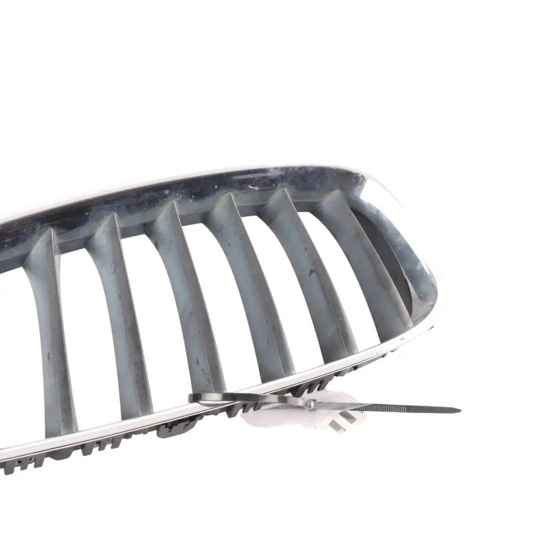 BMW E89 Front Bumper Radiator Cover Grille Kidney Chrome Left N/S - SKU 7191509 - Part number 7191509