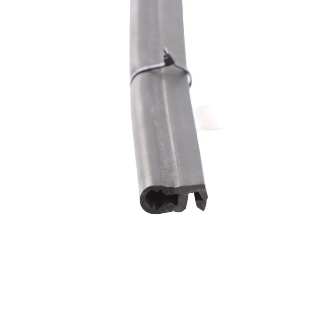 BMW X5 F15 X6 F16 Junta Motor Goma Sellado Derecho - SKU 7294512 - Número de pieza 7294512