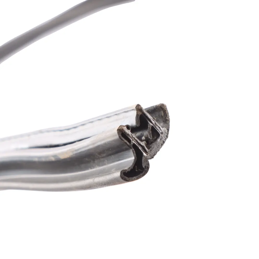 BMW F12 F13 Door Outer Weatherstrip Front Left N/S Strip Trim Cover - SKU 7301293 - Part number 7301293