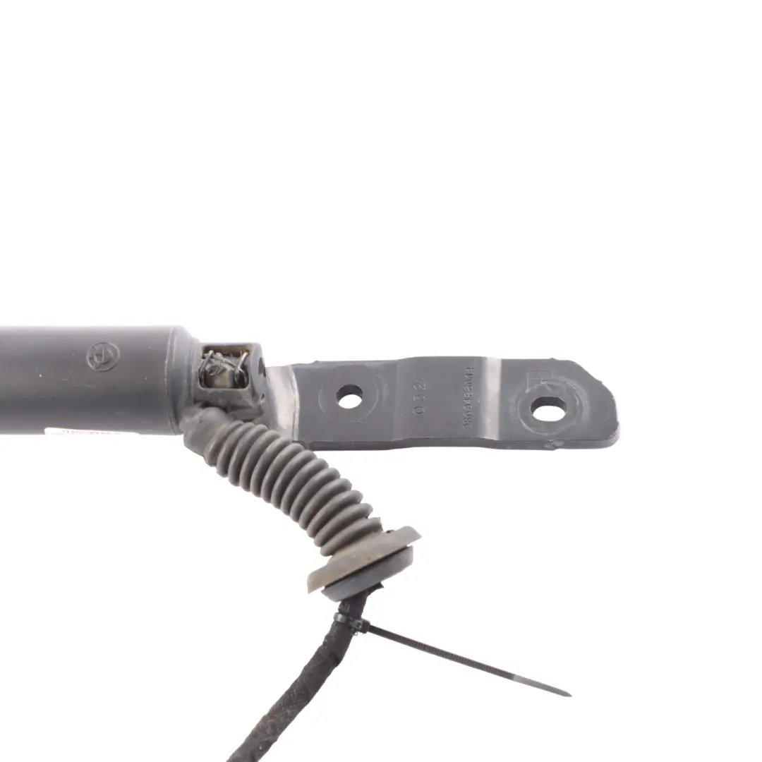 BMW X6 F16 Tailgate Support Strut Gas Trunk Spring Lid Rear Right O/S 7228501 - SKU 7318652 - Part number 7318652