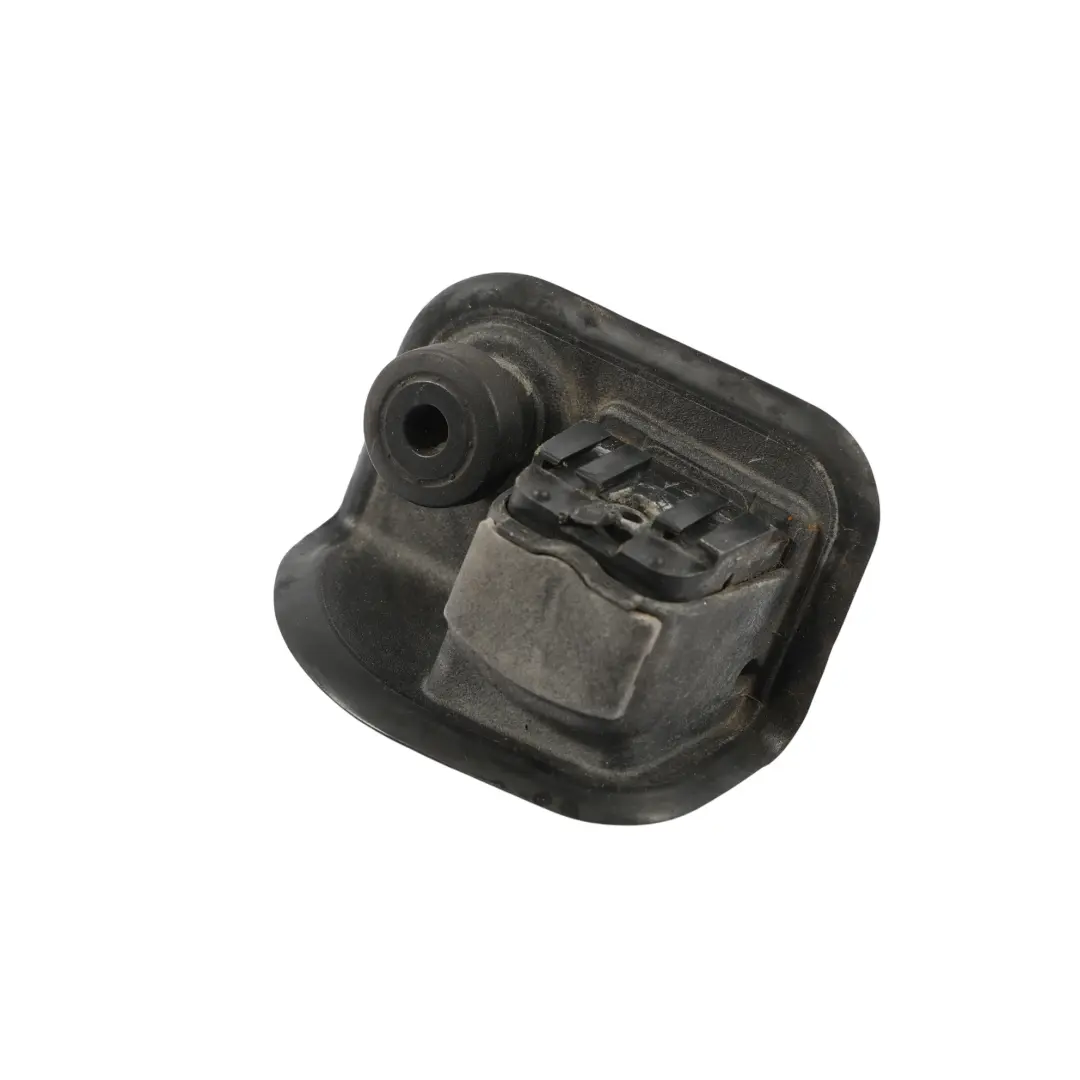 BMW X6 F16 F86 Guida Arresto Portellone Posteriore Finitura Sinistro - SKU 7318693 - Numero di parte 7318693