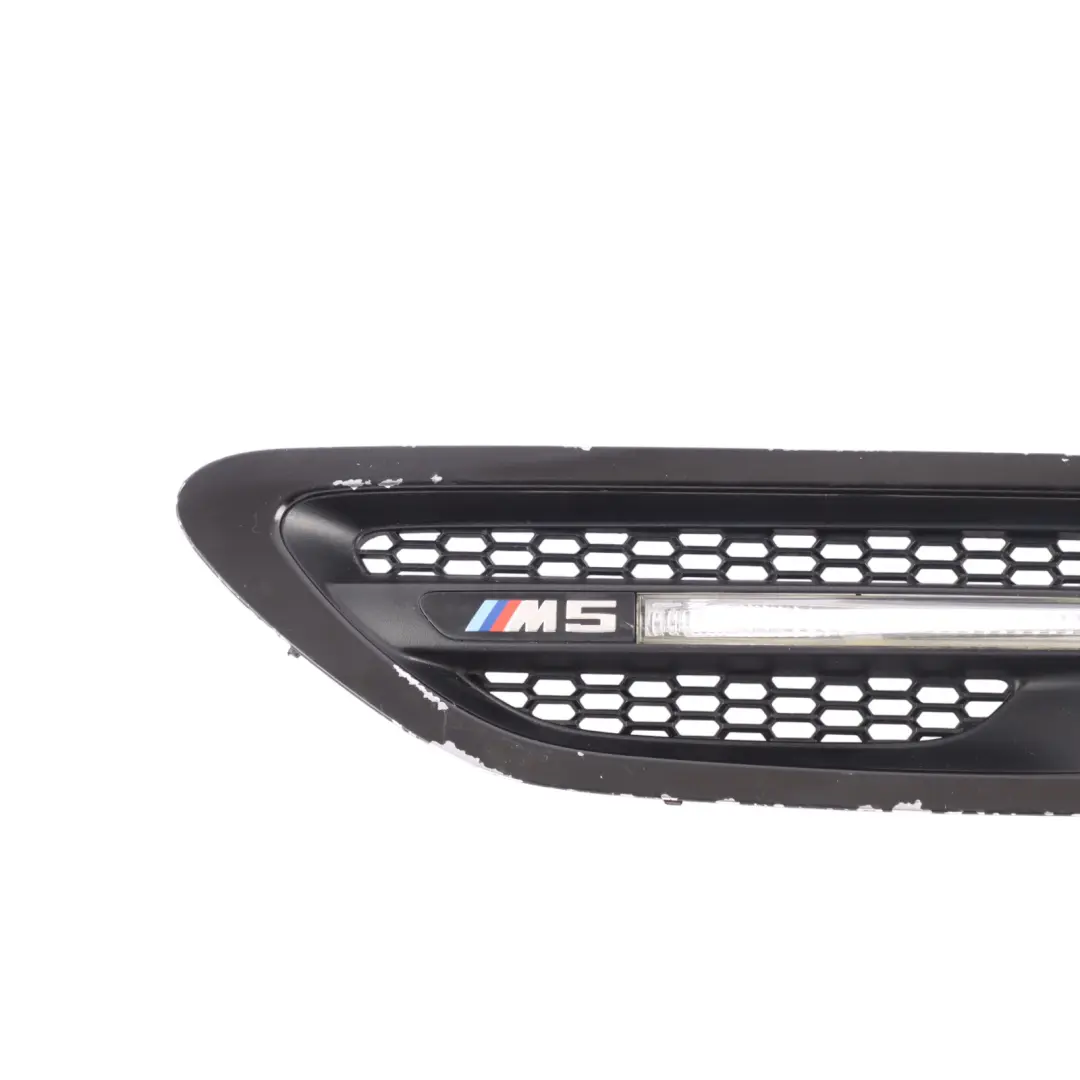 BMW F10 M5 Grille Side Panel Fender Indicator Vent Front Left N/S Black - SKU 7903879-1 - Part number 7903879