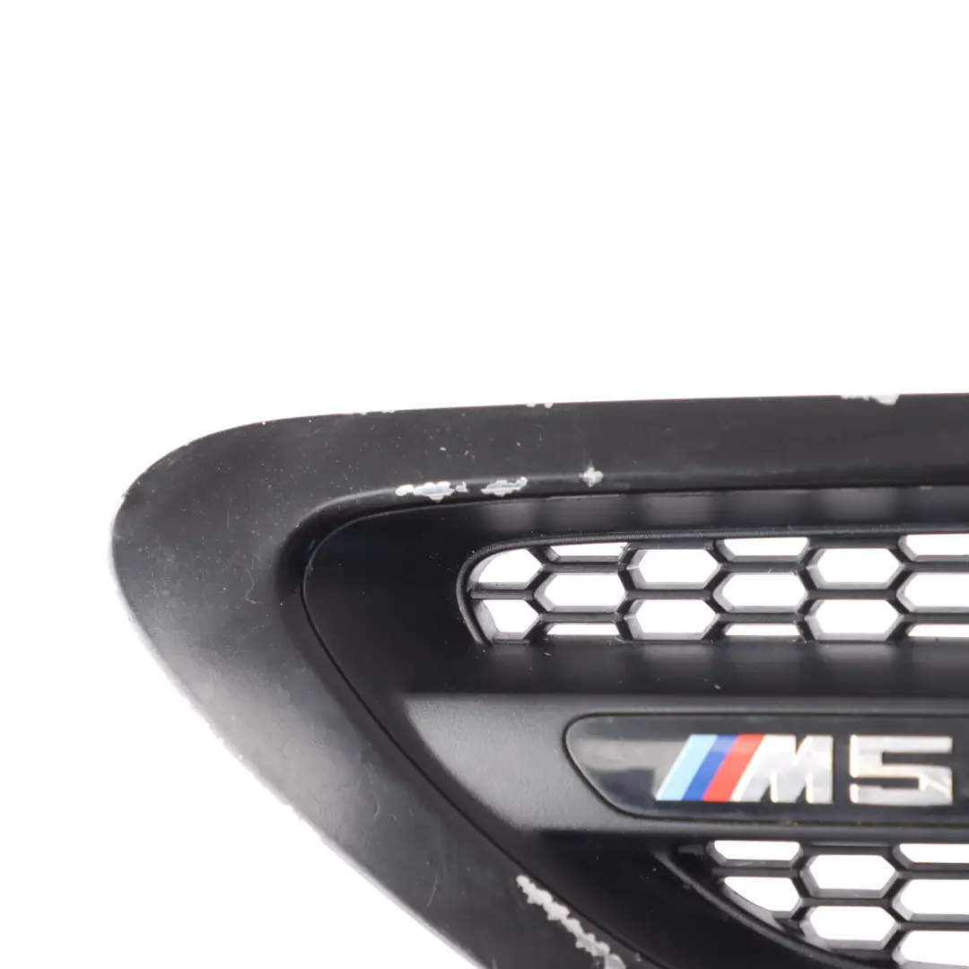 BMW F10 M5 Grille Side Panel Fender Indicator Vent Front Left N/S Black - SKU 7903879-1 - Part number 7903879