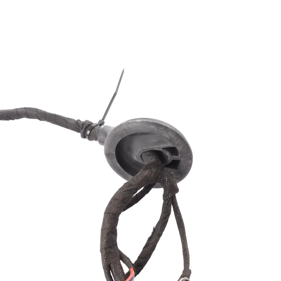 Pasajero Puerta Delantera Cableado Loom Cableado para Audi A4 B8 con número de pieza 8K0971030AP Audi A4 B8 Pasajero Puerta Delantera Cableado Loom Cableado - SKU 8K0971030AP - Número de pieza 8K0971030AP