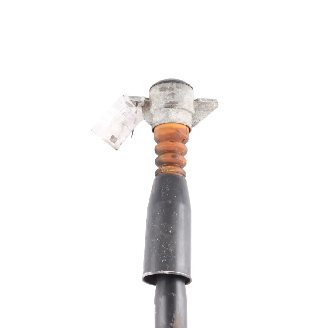 Axle Shock Absorber Strut Left Right N/O/S to Audi Q5 8R Rear with Part number 8R0513035R Audi Q5 8R Rear Axle Shock Absorber Strut Left Right N/O/S - SKU 8R0513035R - Part number 8R0513035R