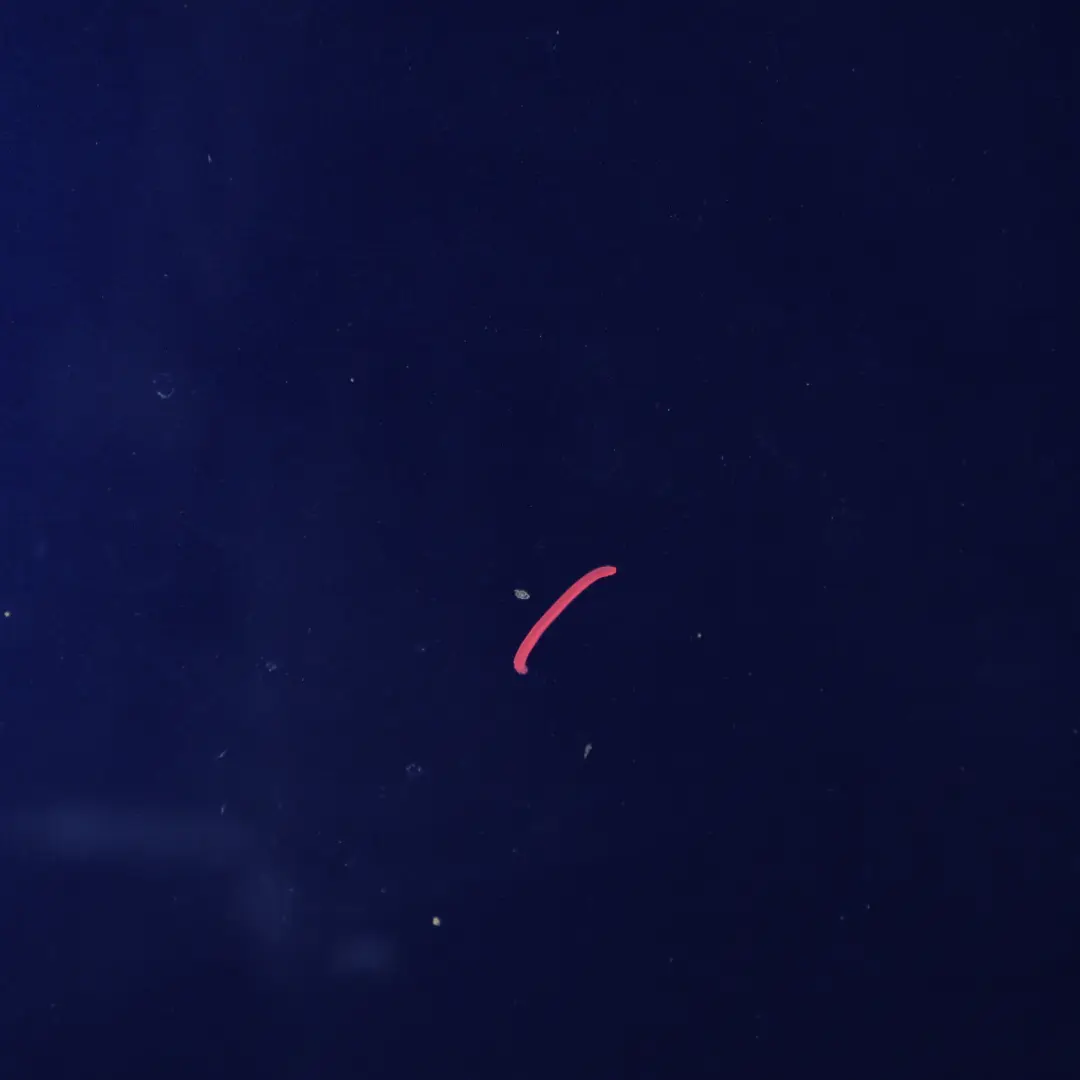 Front Hood Bonnet Panel Cover Estoril Blue Metallic - X5P to Audi A3 S3 8V with Part number 8V0823029D Audi A3 S3 8V Front Hood Bonnet Panel Cover Estoril Blue Metallic - X5P - SKU 8V0823029D-ESB - Part number 8V0823029D