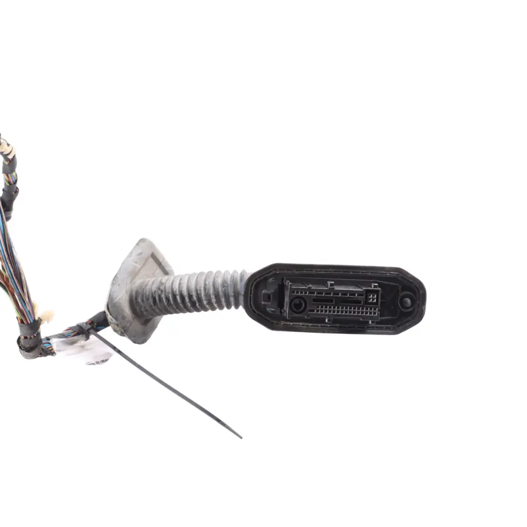 Front Door Wiring Loom Harness Cable Passenger Side to BMW X5 F15 X6 F16 with Part number 9252388 BMW X5 F15 X6 F16 Front Door Wiring Loom Harness Cable Passenger Side - SKU 9252388 - Part number 9252388