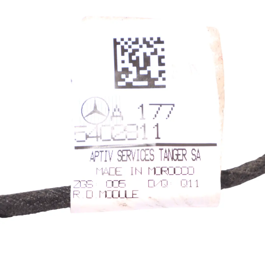 Mercedes W177 W243 W247 Faisceau Câbles Porte Arrière Gauche - SKU A1775402811 - Numéro de pièce A1775402811