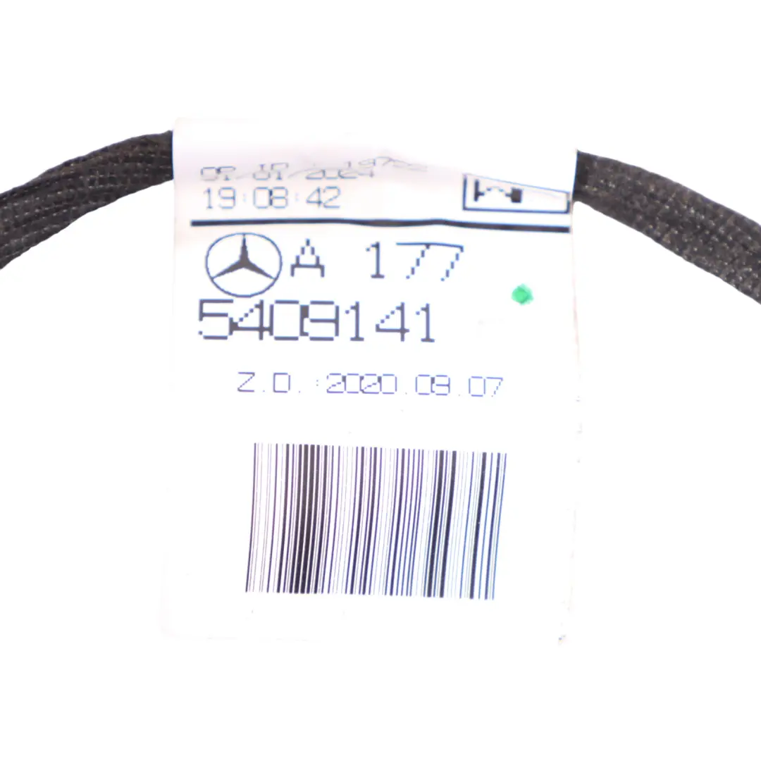 Mercedes W177 W243 W247 Cavo Cablaggio Porta Anteriore Lato Guida - SKU A1775409141 - Numero di parte A1775409141