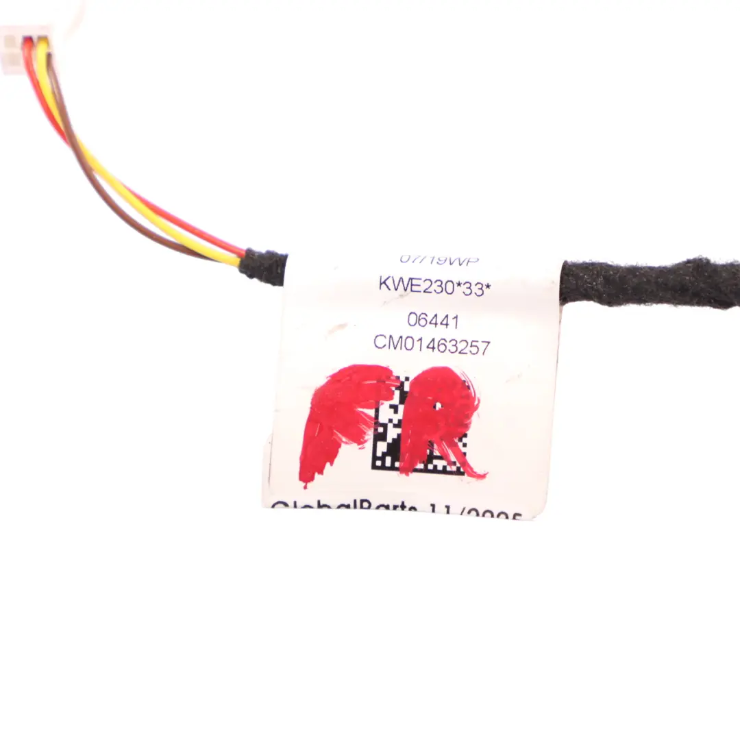 Interno Doorcard Luce Porta Anteriore Cablaggio Loom per Mercedes W177 con numero di parte A1779068901 Mercedes W177 Interno Doorcard Luce Porta Anteriore Cablaggio Loom - SKU A1779068901 - Numero di parte A1779068901