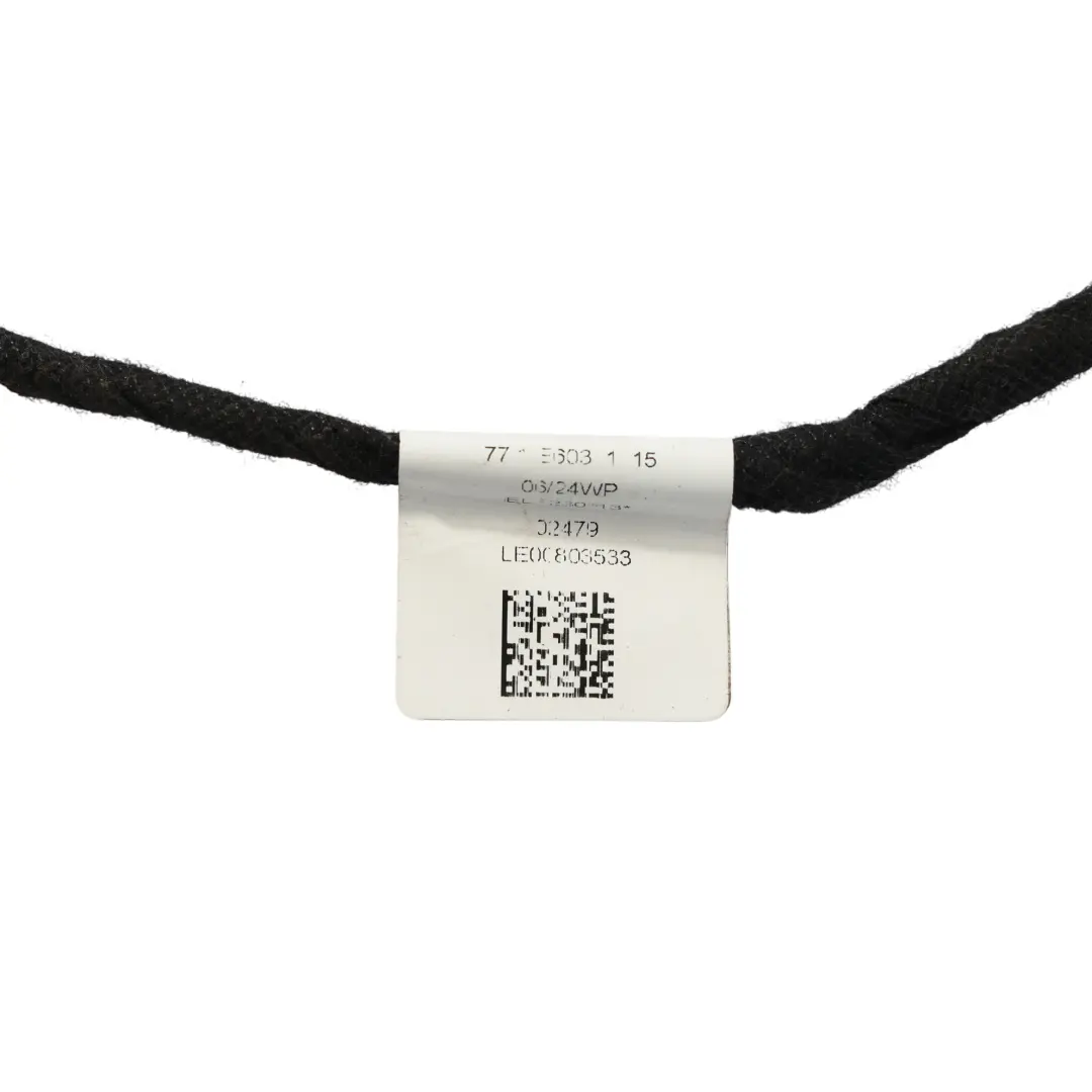 Cable D'Eclairage Interieur Porte Avant Gauche Droite pour Mercedes W177 à propos du numéro de pièce A1779069305 Mercedes W177 Cable D'Eclairage Interieur Porte Avant Gauche Droite - SKU A1779069305 - Numéro de pièce A1779069305