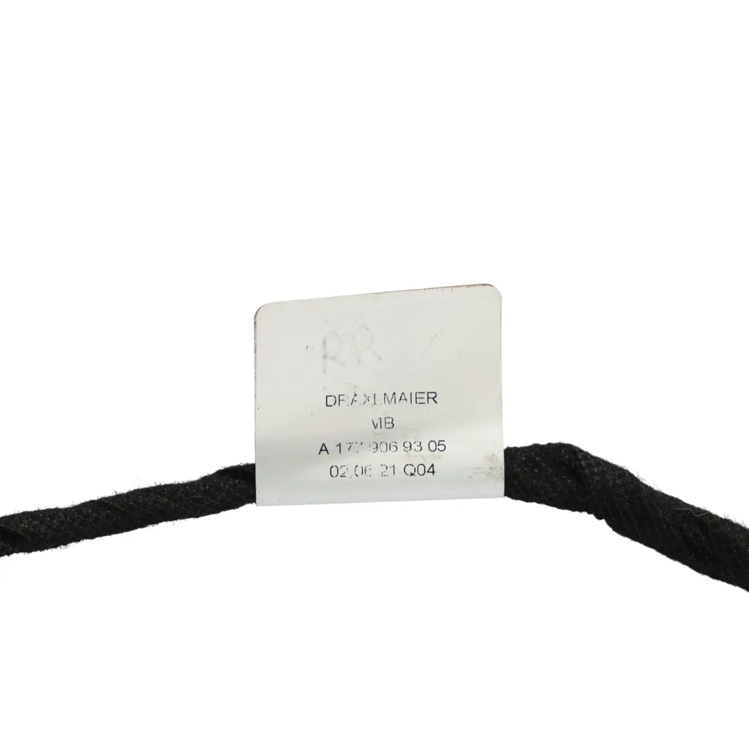 Mercedes W177 Cable D'Eclairage Interieur Porte Avant Gauche Droite - SKU A1779069305 - Numéro de pièce A1779069305