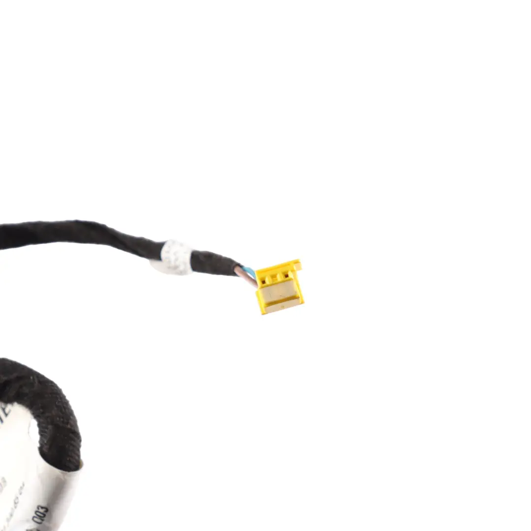 Mercedes W221 Door Harness Wiring Loom Rear Left N/S - SKU A2215408508 - Part number A2215408508