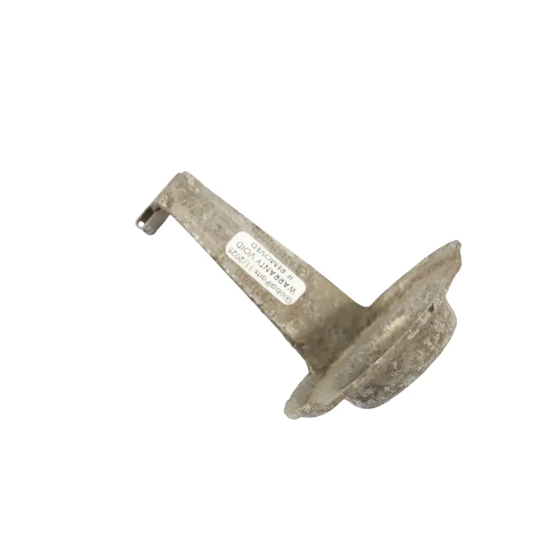 Mercedes W176 Soporte Del Eje Trasero Placa De Tope - SKU A2463520039 - Número de pieza A2463520039