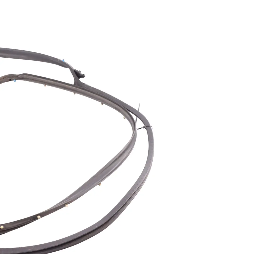 1Z Outer Door Edge Seak Gasket Rubber Rear Right O/S to Skoda Octavia with Part number 1Z5839698D Skoda Octavia 1Z Outer Door Edge Seak Gasket Rubber Rear Right O/S - SKU 1Z5839698D - Part number 1Z5839698D