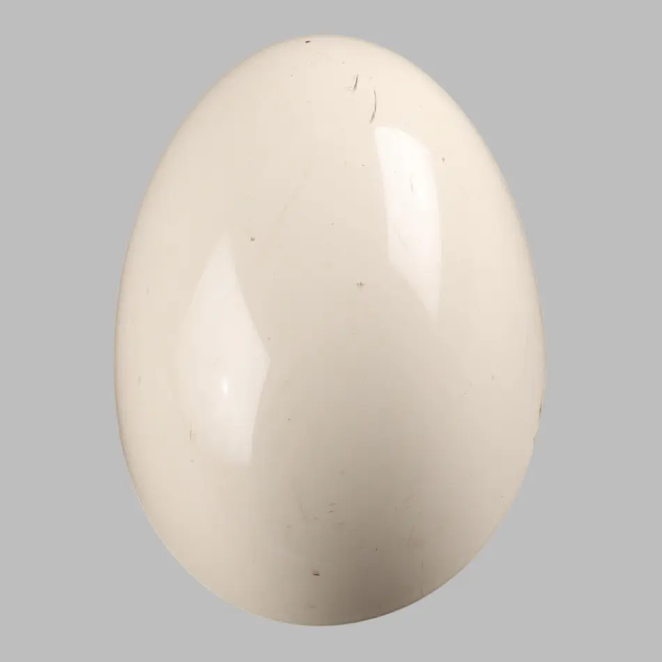 Cap Right O/S Wing Mirror Trim Pepper White - 850 to Mini R55 R56 R60 Cover with Part number 2754914 Mini R55 R56 R60 Cover Cap Right O/S Wing Mirror Trim Pepper White - 850 - SKU 2754914-PW1 - Part number 2754914