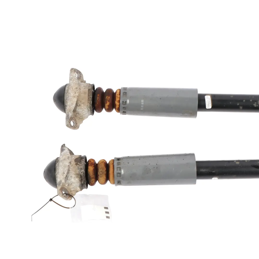 Audi A3 8V Spring Strut Set Rear Suspension Shock Absorber Monroe - SKU 376195SP - Part number 376195SP