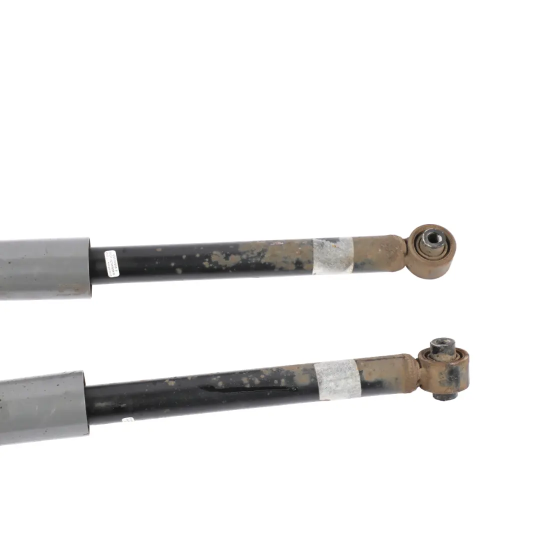 Audi A3 8V Spring Strut Set Rear Suspension Shock Absorber Monroe - SKU 376195SP - Part number 376195SP