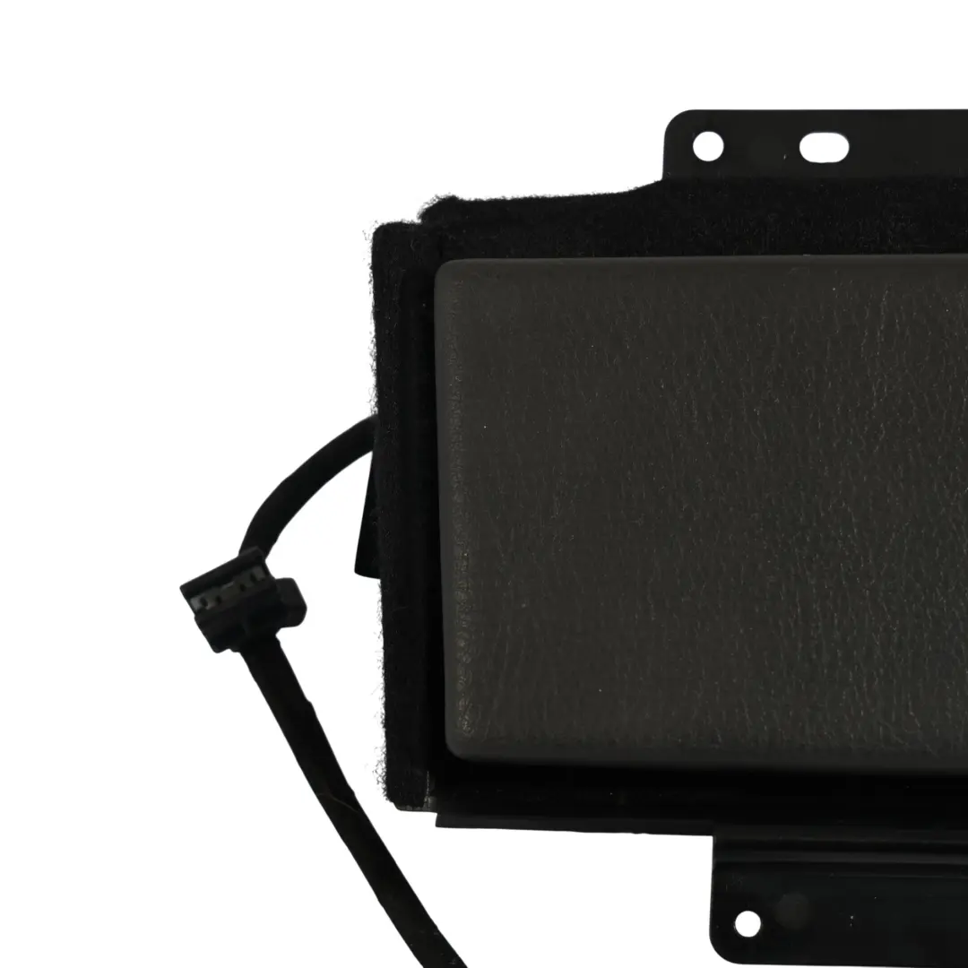 Tür Karte Aschenbecher Panel Hinten Links für Volkswagen Phaeton 3D mit Teilenummer 3D4857405 Volkswagen Phaeton 3D Tür Karte Aschenbecher Panel Hinten Links - SKU 3D4857405 - Teilenummer 3D4857405