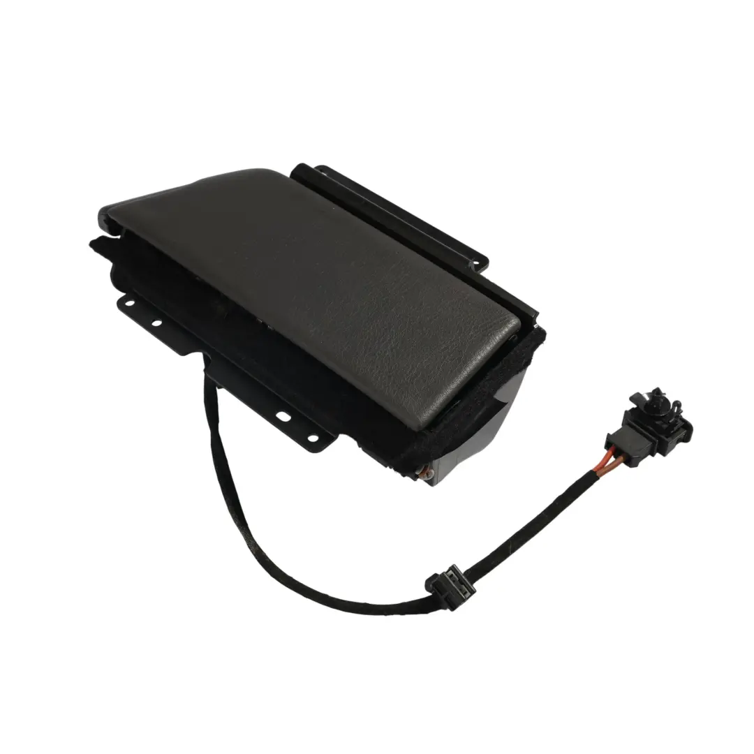 Volkswagen Phaeton 3D Tür Karte Aschenbecher Panel Hinten Links - SKU 3D4857405 - Teilenummer 3D4857405