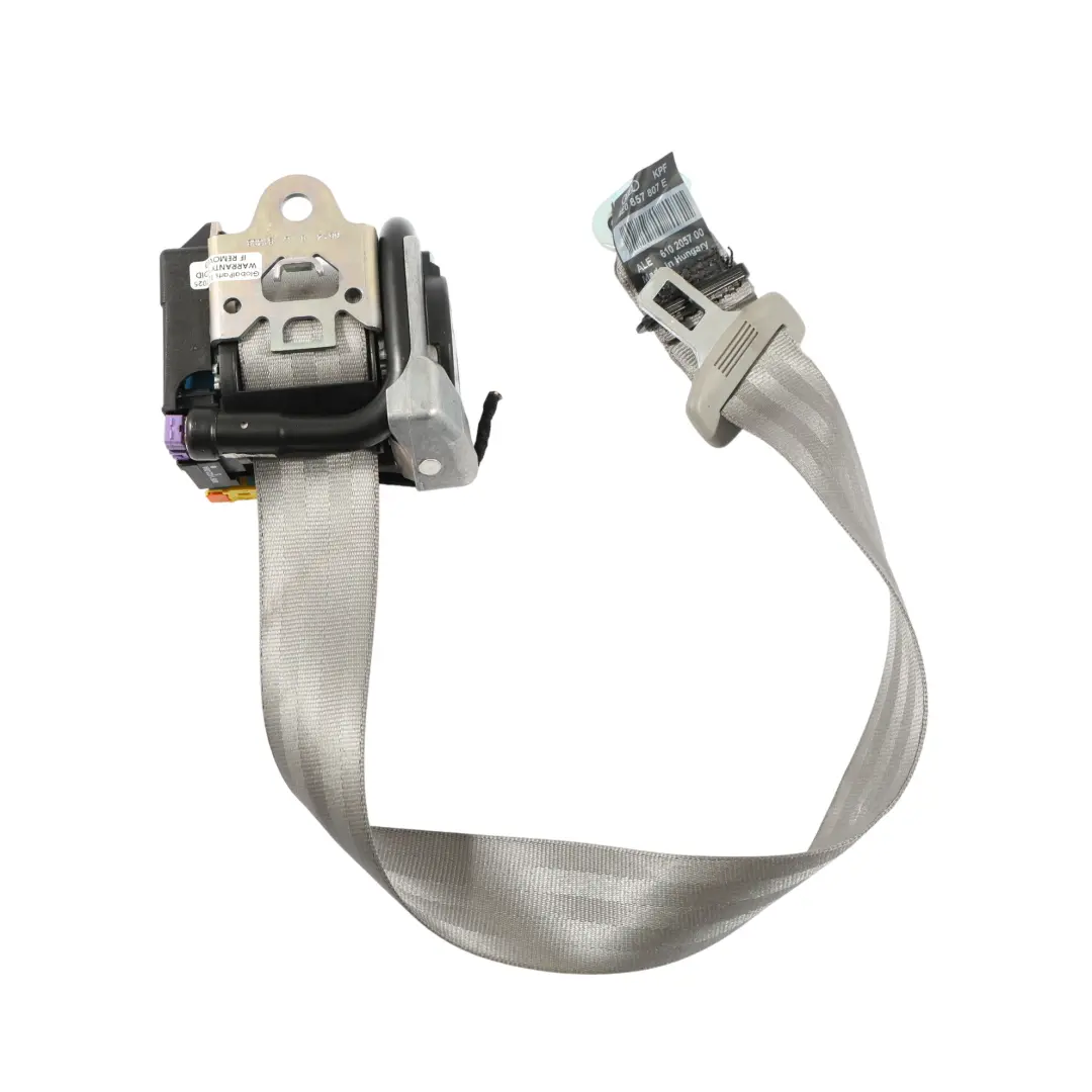 Audi A8 D3 Hinten Mitte Oberer Sicherheitsgurt Platin - SKU 4E0857807E - Teilenummer 4E0857807E