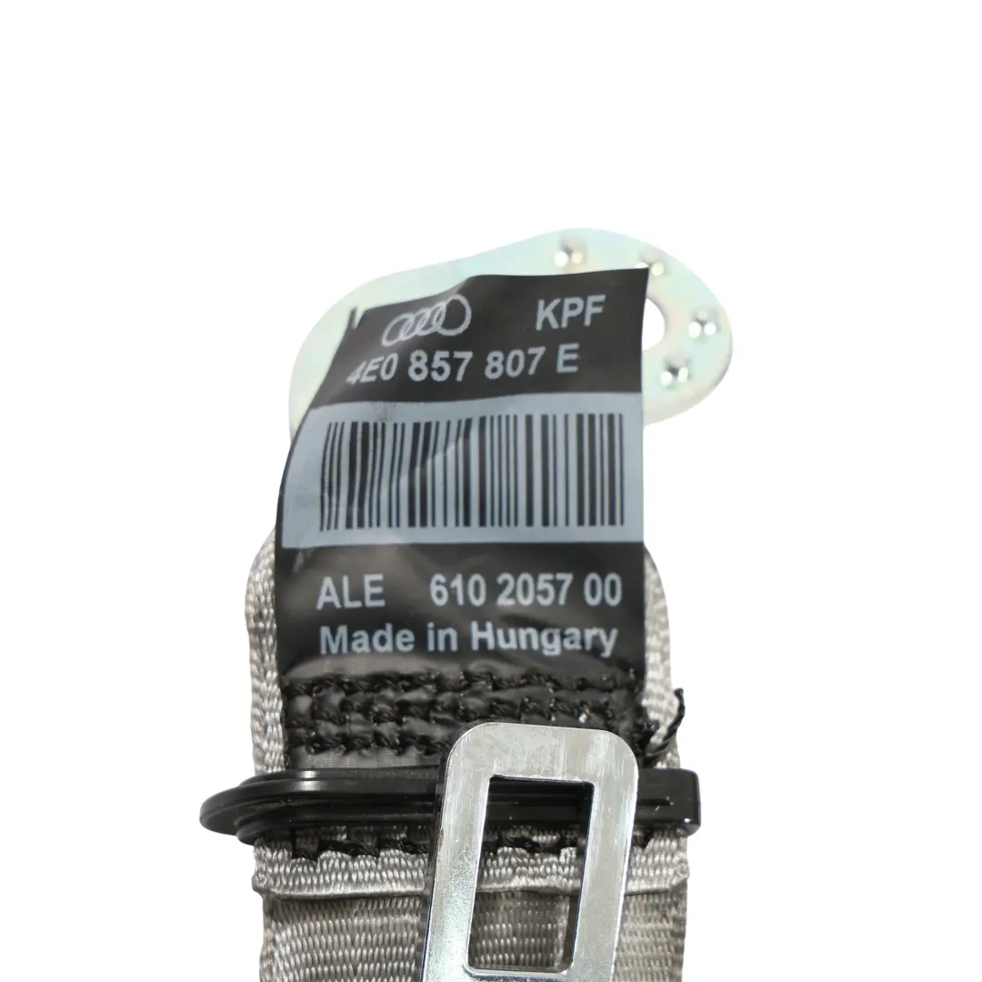 Audi A8 D3 Rear Center Upper Seat Belt Platinum - SKU 4E0857807E - Part number 4E0857807E