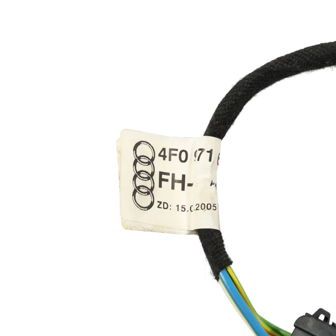 Audi A6 C6 Lève-Vitre Régulateur Moteur Faisceau Câble Câblage - SKU 4F0971687 - Numéro de pièce 4F0971687