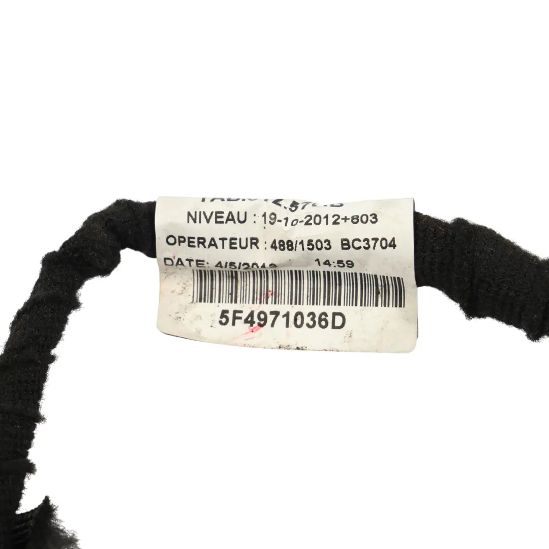 Seat Leon Mk3 5F Tür Kabelbaum Vorne Beifahrerseite - SKU 5F4971036D - Teilenummer 5F4971036D